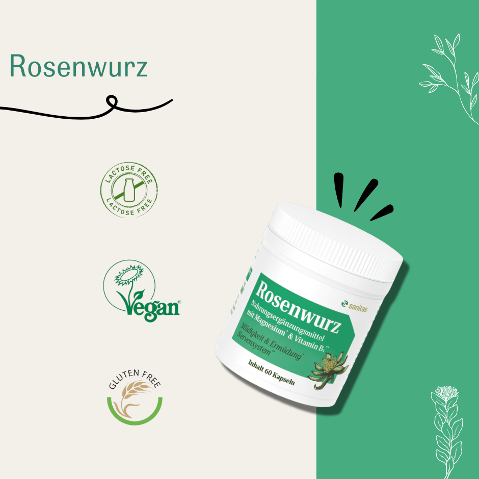 Rosenwurz von sanitas – 60 Kapseln mit Rhodiola rosea, Magnesium und Vitamin B1, laktosefrei, vegan und glutenfrei